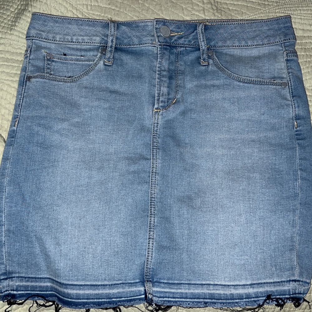 Articles of Society Skirt